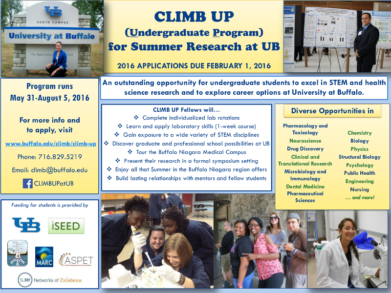 Undergraduate Summer Research at UB
